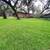 🌿 Reliable Lawn Care by Local College Student – Serving ALL of San Antonio 2 thumbnail