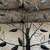 Metal Leaf Wall Art 2 thumbnail