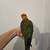 Handfed male redfactor sun conures 6 thumbnail
