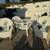 Outdoor Patio Set of 5 Pieces 3 thumbnail