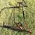 Two Volkswagen Karmann Ghia Convertible Top Assemblies 2 thumbnail