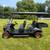 2026 Wolverine 4 Seater Electric Golf cart with utility bed + warranty 2 thumbnail