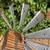Rustic Metal Windmill Head: Farmhouse Wall Decor 3 thumbnail