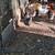 Laying Hens 10 thumbnail