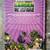 Plants vs. Zombies Garden Warfare graphic novel 2 thumbnail