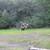 Little Uvas Road 21 acres, owner financing, water and five nice pads! 7 thumbnail
