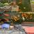 Koi fish, goldfish, mosquitofish 4 thumbnail