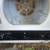 GE Compact Electric Dryer – Elegant, Reliable & Apartment-Friendly 2 thumbnail