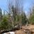 80 Acre Parcel with Extensive Network of Trails! 13 thumbnail