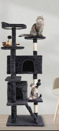 Cat climber 1