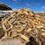 Firewood for Sale (We Deliver) 5 thumbnail