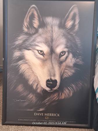 Beautiful Wolf Gallery Print 1