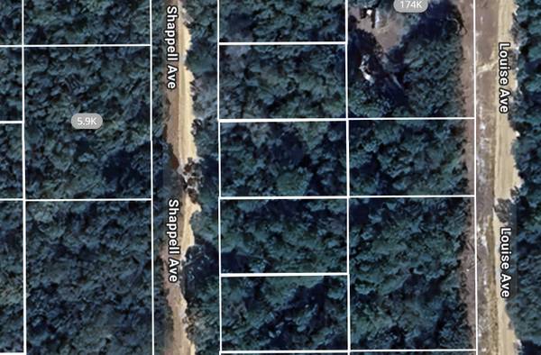 $20,000 / 9500ft2 - Lote de .22 Acre en el Corazón de Interlachen FL! (Interlachen)63823027456771124