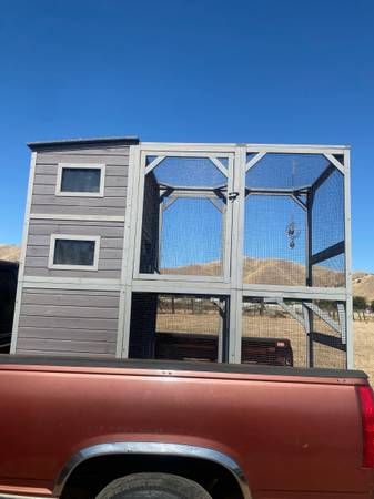 Cage (Lemon Cove)64025057157762123