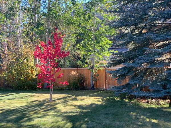 $5,950 / 3br - 1800ft2 - Stylish Log House in great neighbohood (Hailey)63922556957827124
