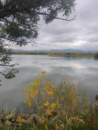 Looking for some work! 1