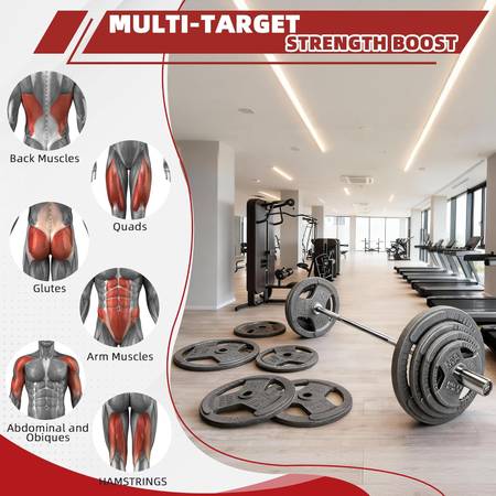 Olympic bench / Squat rack - 200 Pound Olympic Weights weight 1