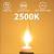12-Pack E12 Candle Light Bulbs 40W Warm White 3 thumbnail