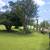 TREE SERVICE & LANDSCAPES . LAND CLEARING . BOBCAT WORK. BOOM LIFT 2 thumbnail