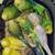 Hand-fed baby parakeet very friendly 4 thumbnail