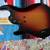 Yamaha BBP5 5-string Electric Bass Guitar - Vintage Sunburst 2017 MIJ 10 thumbnail
