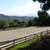 Horse Boarding on Quiet Horse Ranch North County 6 thumbnail
