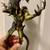 Neca RARE 2008 Alien & Predator Figures AVP 6 thumbnail