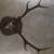 Vintage Sitka 9 point 5 thumbnail