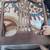 Antique Walnut Captain's Chair 8 thumbnail