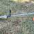 Stihl weedeater FS40C 2 thumbnail