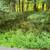 Hickory Hills Lot in Wisconsin Dells 3 thumbnail