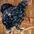 Brahma chicks-mottled, porcelain, blue salmon, lemon pyle, Isabel 5 thumbnail