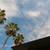 High-End 1+1 in Pasadena With SS Appliances, Wood-Inspired Floors 21 thumbnail