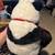 New Stuff Animals 8 thumbnail