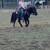Gentle Miniature Pony 6 thumbnail
