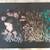 "Beginnings Ends and Moon Flowers" Art Collages Debbie Sall 13 thumbnail