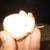 Steiff Stuffed Animals 4 thumbnail