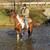 Gorgeous bay paint super fun gaited gelding 5 thumbnail