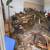 💵 Great  $$🚚 🤗 FAST JUNK REMOVAL☎️(512)586-9643 ,START$50 …u 20 thumbnail