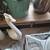 Antique Sideboard 2 thumbnail