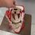 Franklin Redwings Hockey Mask 3 thumbnail