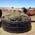 Holiday Horse Boarding Stables 10 thumbnail