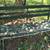 Garden bench 2 thumbnail