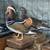 Mandarin ducks 3 thumbnail