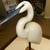 EGRET ON STAND 2 thumbnail
