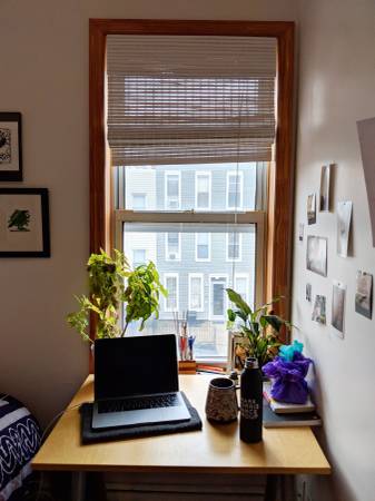 $1,200 / 2br - Really good deal - bedroom available - great apartment, great location (South Slope / Sunset Park)63945494035074124