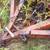 Farm implement 7 thumbnail