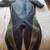 Wetsuits, Oneil, Ripcurl 1 thumbnail