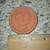Brown Sugar Saver Clay Disc Medallion 1 thumbnail