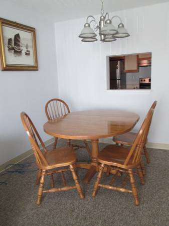 $1,650 / 1br - 640ft2 - FURNISHED 1-bedroom with washer and dryer inside unit (Dover)63656227766147124